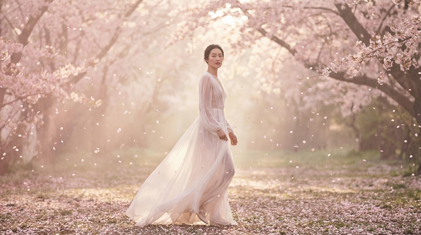 母狗樱花季唯美视频